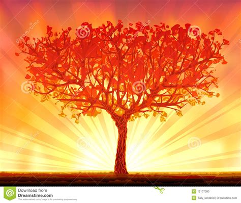Beautiful Autumn Sunset Tree Stock Vector Image 12107080
