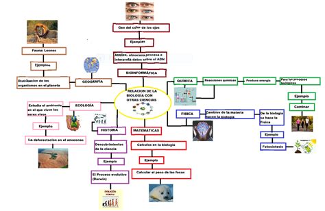 Esquema De La Relacion De La Biologia Con Otras Ciencias Estudiar