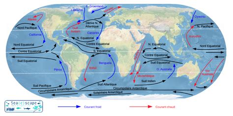 La circulation océanique Sea e scape