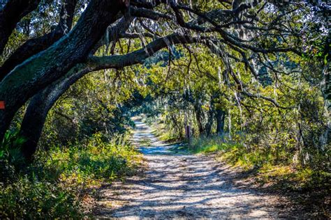 12 Best Hikes In Orlando You Shouldnt Miss Florida Trippers