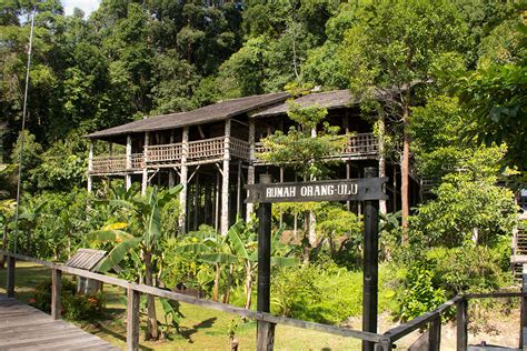 Things to do near kampung panchor hot spring. Sarawak Cultural Village - Taman Negara