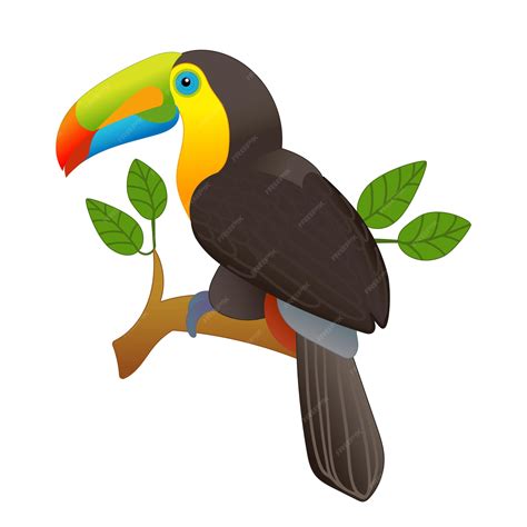 Premium Vector Vector Illustration Of A Toucan Sitting On A Branch