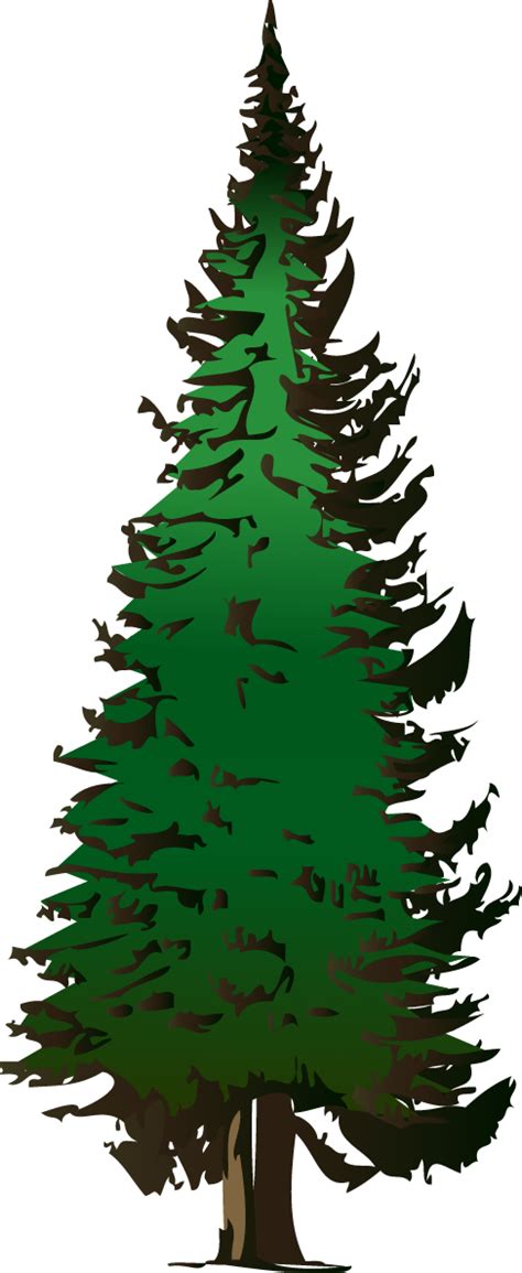 Tall Pine Tree Silhouette Png ClipArt Best