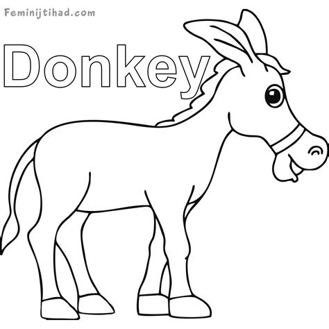 Mammals Coloring Pages Donkeys All About Cute And Unique Animals