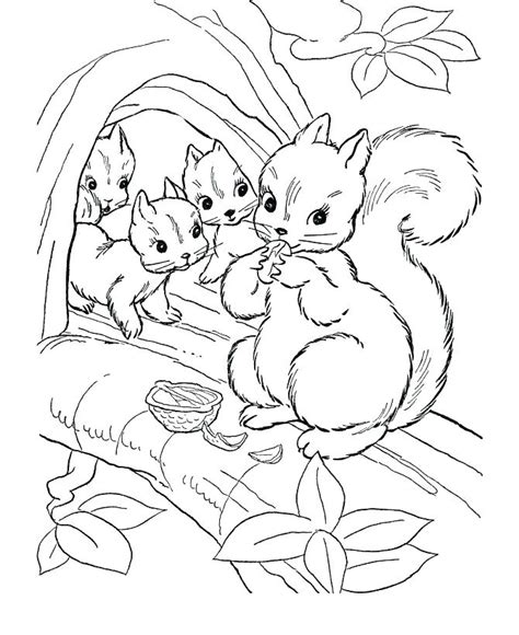 Baby Forest Animal Page Coloring Pages