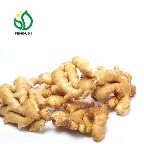 export fresh air dried ginger all year around sizes 50g 100g 150g 250g 300gs eu quality buy