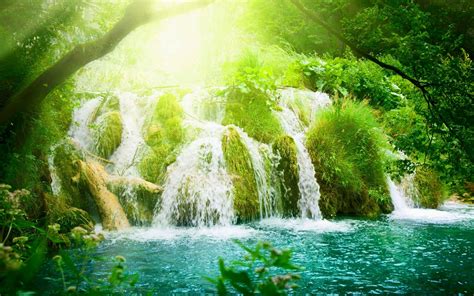 Forest Waterfall Hd Wallpapers On Wallpaperdog