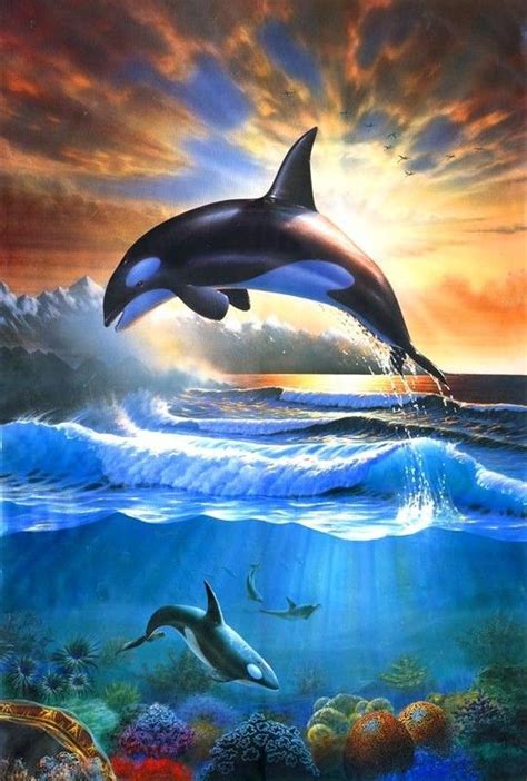 Adrian Chesterman Orcas Orca Art Dolphin Art Orcas Whale Painting