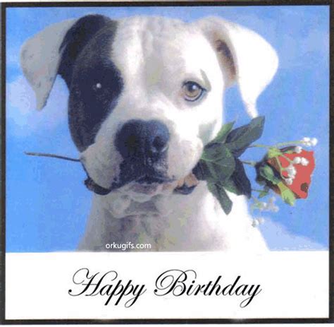 Happy Birthday Quotes For Dogs. QuotesGram