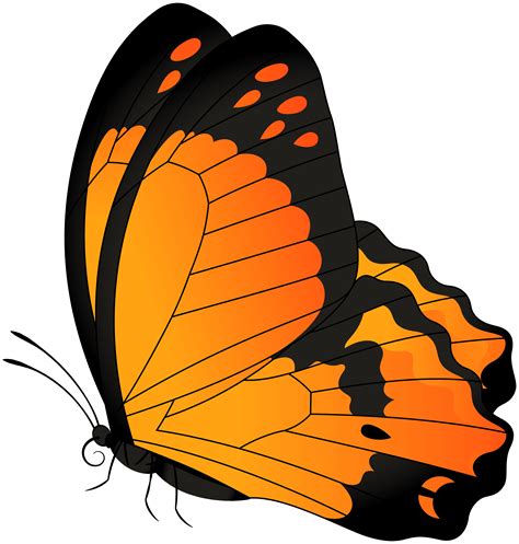 Butterfly Clipart Orange Pictures On Cliparts Pub 2020 🔝