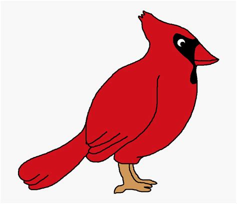 Cardinal Bird Clip Art Red Robin Bird Clipart