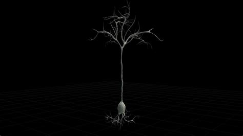 Neuron Wallpapers 52 Images