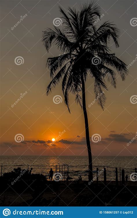 Sunset On The Beach In The Sea Against The Silhouette Of A Palm Tree
