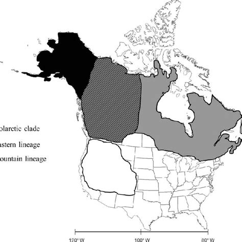 —approximate Geographic Distribution Of North American Red Fox