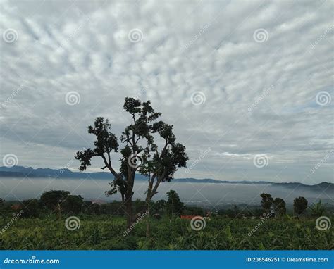 Langit Awan Dingin Hujan Mendung Stock Image Image Of Awan Mendung