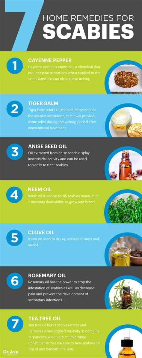 Scabies 7 Natural Treatments That Work Fast Dr Axe