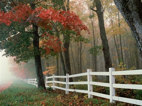 Autumn Scenery Beautiful Wallpaper 24 1600x1200 Wallpaper Download