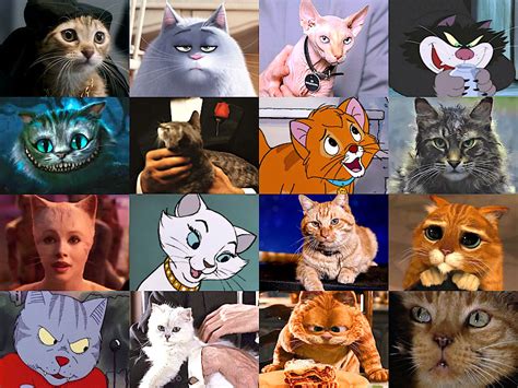 Pick A Movie Cat Quiz By Hellofromuk