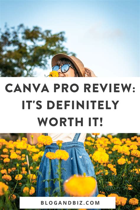 Canva Pro Review Are The Extra Features Worth It — Blog And Biz Blog