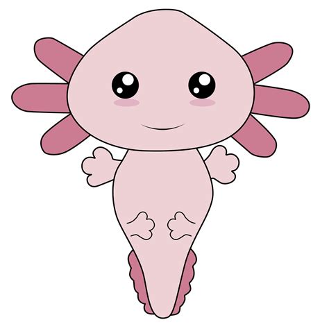 Download Axolotl Kawaii Mexican Axolotl Drawing Of Axolotl Royalty