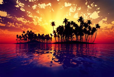Palm Trees Sunrise Photo Backdrops Tropical Island Background Studio