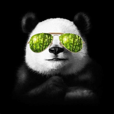 Quand Tes Un Panda Bling Bling Panda Art Cool Panda Cute Panda