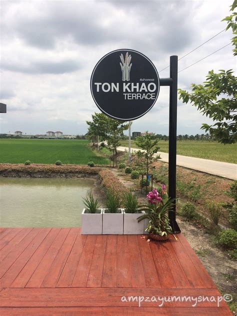 รีวิว ต้นข้าวเทอเรส - ร้านอาหารและกาแฟในบรรยกาศวิวต้นข้าวไกลสุดลูกหูลูกตา