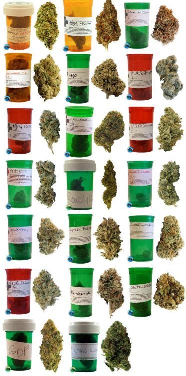 Different Types Different Names For Weed Types