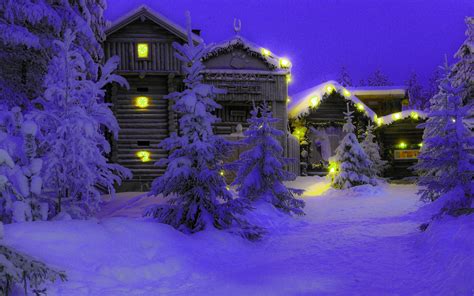 Lapland Snow Night Trees Wallpaper 2560x1600 146957 Wallpaperup