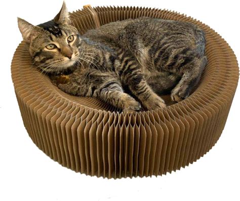 Bobbypet Cat Scratcher Lounge Bed Collapsible Round Shape For Big Cat