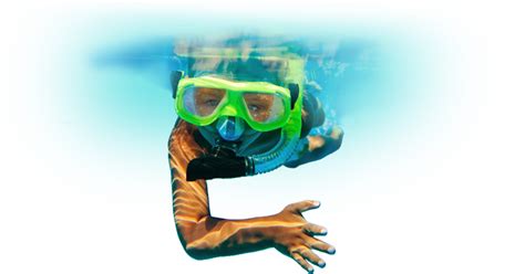 Snorkeling With Belize Pro Dive Center Belize Pro Dive Center