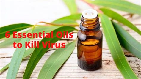 Most Powerful Antiviral Essential Oil
