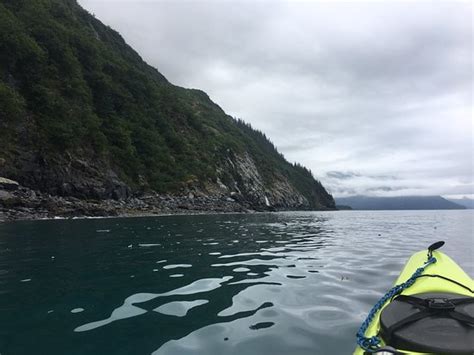 Alaska Sea Kayakers Day Trips Whittier 2021 All You Need To Know