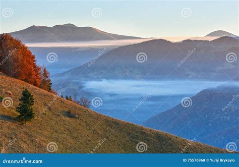 Morning Fog In Autumn Carpathian Stock Photo Image Of Beautiful