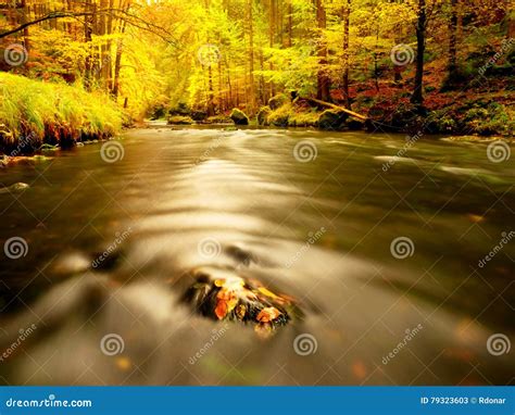 Autumn Mountain River Blurred Waves Mossy Stones Stock Image Image