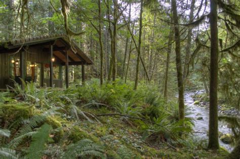 Check spelling or type a new query. Still Creek Cabin New to Market - Liz Warren Mt. Hood Real ...