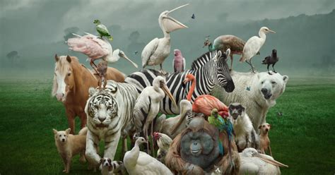 ¿cuántas Especies Existen En El Mundo Realmente