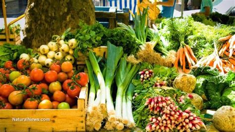 8 Tips For Beginner Farmers Market Vendors · Lets Talk Agric