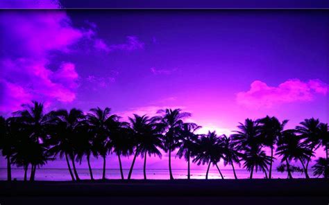 Beach Sunset Palm Tree Wallpaper Sunset Palm Trees Wallpaper Sunset