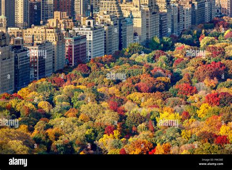 Aerial View Of Brilliant Fall Colors Of Central Park West Foliage In