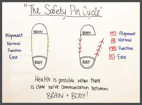 The Safety Pin Cycle One Village West Edmonton Chiropractor
