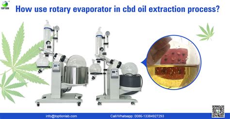 How Use Rotary Evaporator In Cbd Oil Extraction Process Toption Glass