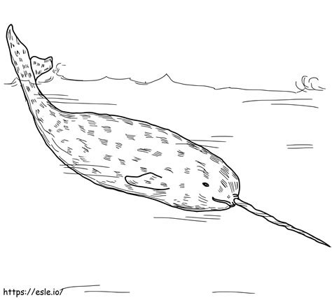 Paus Narwhal A4 Gambar Mewarnai