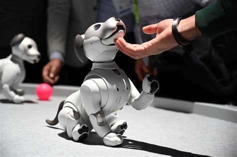 Tech Trends The Future Of Consumer Robots