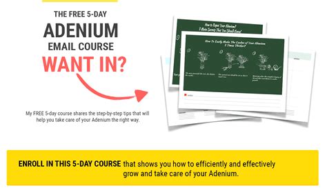 | adenium plants care growing tips, planting, cutting,pruning and trimming adeniums by gardengraduate. Adenium Plants Care: growing tips, planting, cutting ...