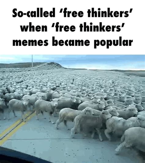 So Called Free Thinkers When Free Thinkers Memes Became Popular