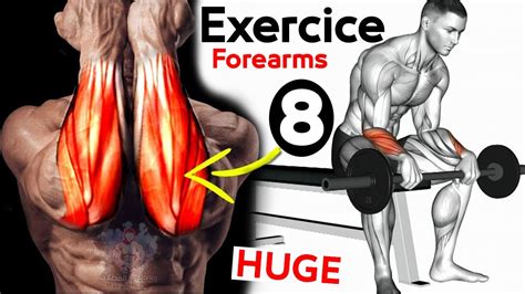 8 Best Exercises Forearms Workout For Bigger Dumbbells Barball