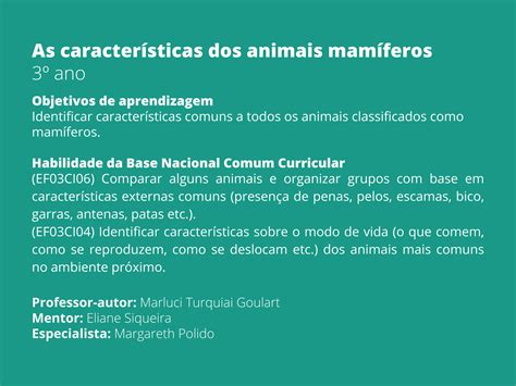 Plano de aula o ano As características dos animais mamíferos