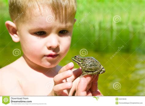 Acquaintance A Little Boy With A Frog Stock Photo Image Of Animals