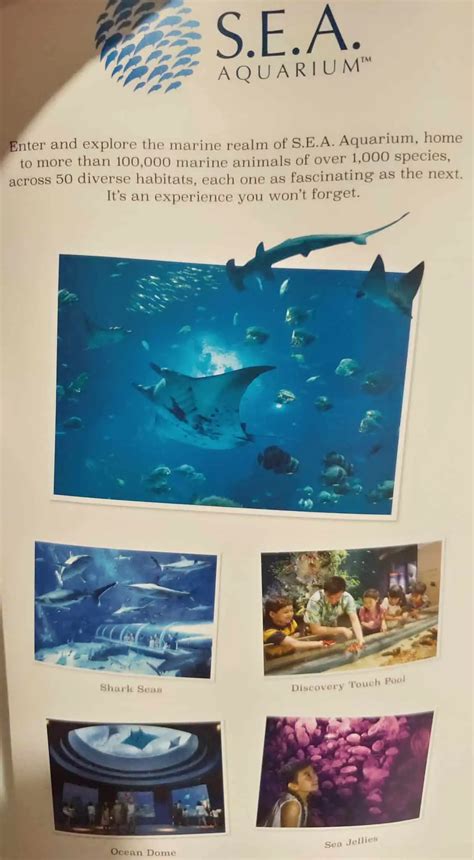 Sea Aquarium Ticket Prices Deals And Opening Hours Singapore